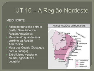 MEIO NORTE

   Faixa de transição entre o
    Sertão Semiárido e a
    Região Amazônica.
   Mais úmido quando está
    próximo da Região
    Amazônica.
   Mata dos Cocais (Destaque
    para o babaçu)
   Extrativismo vegetal e
    animal, agricultura e
    pecuária.
 