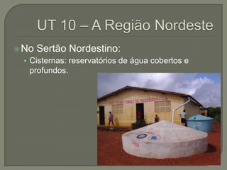  No   Sertão Nordestino:
  • Cisternas: reservatórios de água cobertos e
   profundos.
 