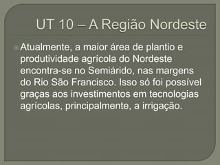  Atualmente, a maior área de plantio e
 produtividade agrícola do Nordeste
 encontra-se no Semiárido, nas margens
 do Rio São Francisco. Isso só foi possível
 graças aos investimentos em tecnologias
 agrícolas, principalmente, a irrigação.
 