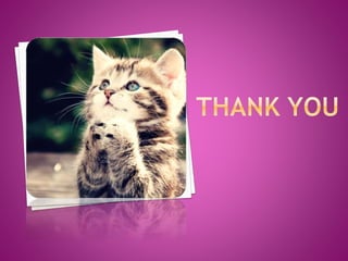 Regionalization vs globalisation