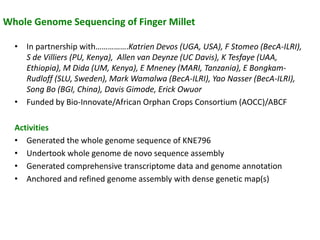 Regional planning meet Harare : Genomics- ESA  by Damaris Achieng odeny