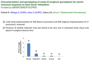 Regional planning meet Harare : Genomics- ESA  by Damaris Achieng odeny