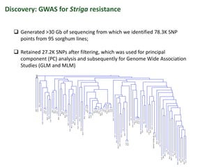 Regional planning meet Harare : Genomics- ESA  by Damaris Achieng odeny