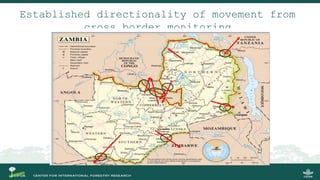 Regional overview of cross border | PPTX