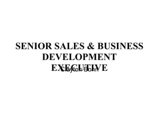 SENIOR SALES &amp; BUSINESS DEVELOPMENT EXECUTIVE