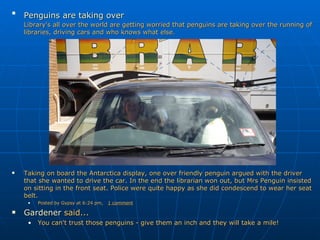 Penguins are taking over   Library's all over the world are getting worried that penguins are taking over the running of libraries, driving cars and who knows what else. Taking on board the Antarctica display, one over friendly penguin argued with the driver that she wanted to drive the car. In the end the librarian won out, but Mrs Penguin insisted on sitting in the front seat. Police were quite happy as she did condescend to wear her seat belt. Posted by Gypsy at 6:24 pm, 1 comment Gardener  said...  You can't trust those penguins - give them an inch and they will take a mile! 