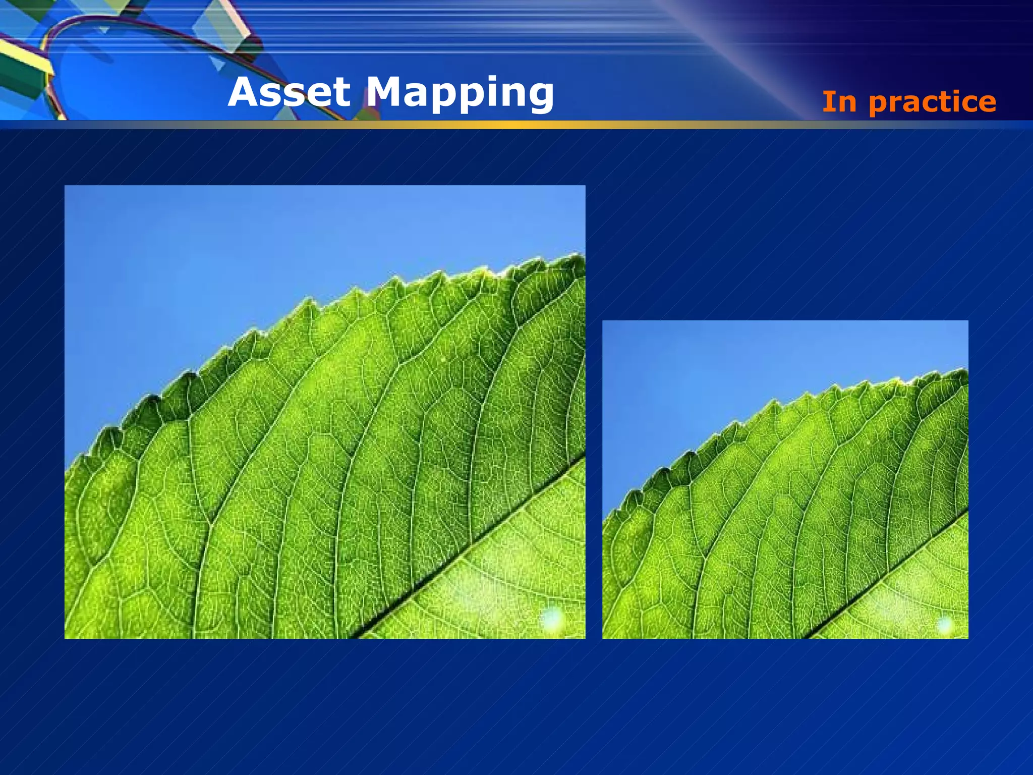 In practice Asset Mapping 