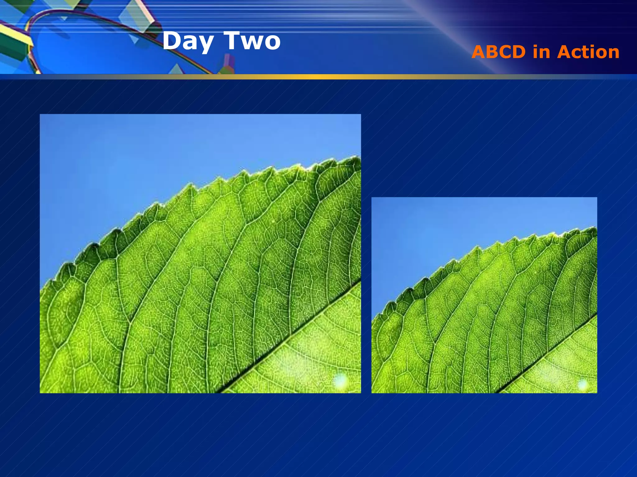 ABCD in Action Day Two  