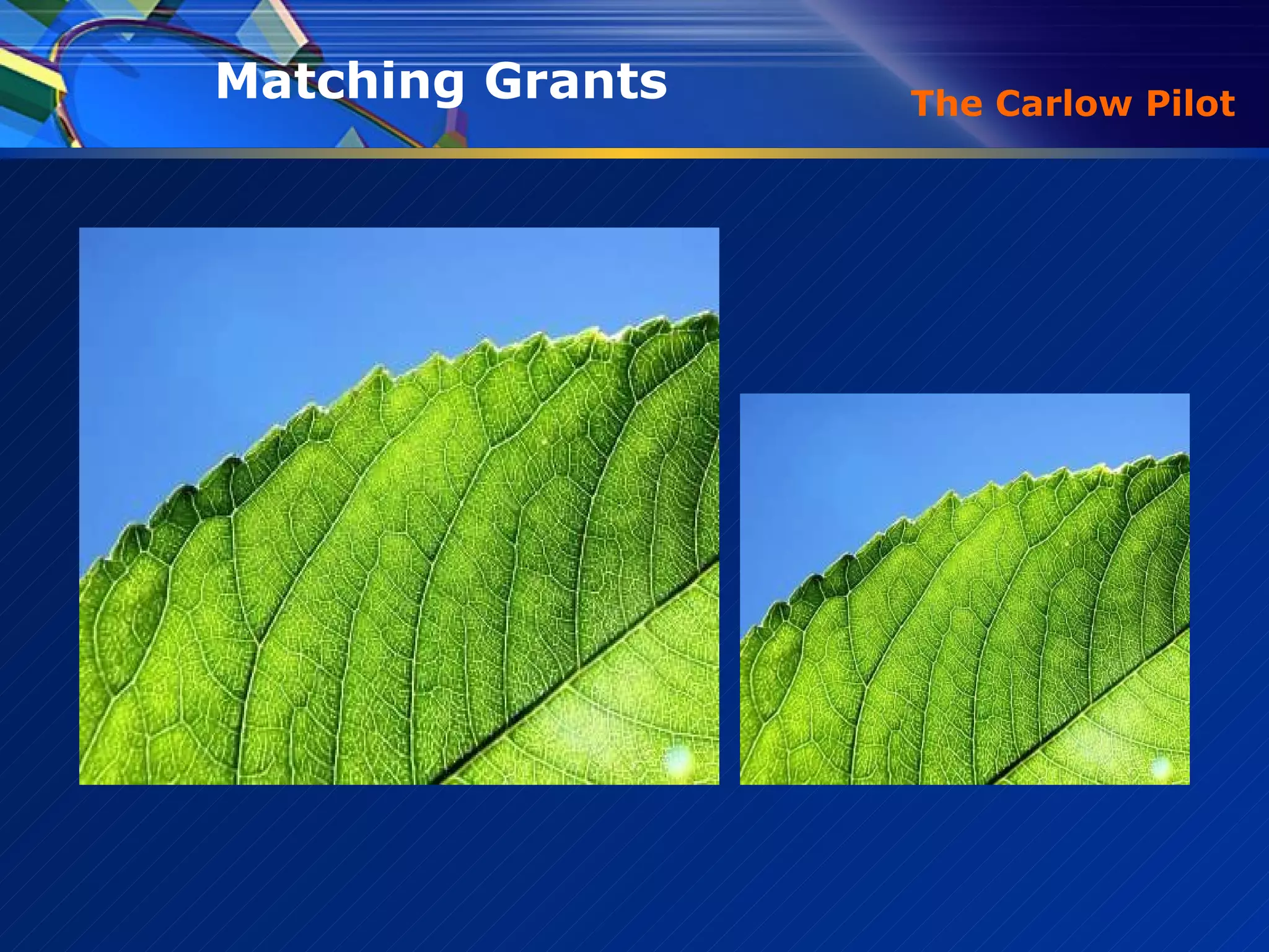 The Carlow Pilot Matching Grants  