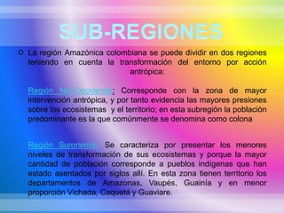  La región Amazónica colombiana se puede dividir en dos regiones
teniendo en cuenta la transformación del entorno por acción
antrópica:
Región Nor-Occidental: Corresponde con la zona de mayor
intervención antrópica, y por tanto evidencia las mayores presiones
sobre los ecosistemas y el territorio; en esta subregión la población
predominante es la que comúnmente se denomina como colona
Región Suroriental: Se caracteriza por presentar los menores
niveles de transformación de sus ecosistemas y porque la mayor
cantidad de población corresponde a pueblos indígenas que han
estado asentados por siglos allí. En esta zona tienen territorio los
departamentos de Amazonas, Vaupés, Guainía y en menor
proporción Vichada, Caquetá y Guaviare.
 