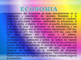  La economía del Amazonas se basa principalmente en la
explotación y exportación de recursos forestales y la
agricultura. La primera ofrece una gran variedad en maderas;
entre las principales especies maderables se encuentran el
cedro, la caoba, el abarco, el comino, el caucho, la ipecacuana
y el palo de rosa. La agricultura es de subsistencia y los
principales cultivos son el arroz secano mecanizado (700 ha),
arroz manual (211 ha), maíz tradicional (218 ha), yuca (199
ha), otros cultivos son el cacao y el plátano.
La pesca constituye un importante sector por la existencia de
numerosos ríos, quebradas y caños; se realiza de manera
artesanal, sin embargo, en los últimos años se han introducido
nuevas técnicas aumentando el volumen lo cual permite una
comercialización hacia el interior del país. La actividad
industrial se manifiesta en la instalación de empresas
relacionadas con los productos primarios. Para los colonos una
fuente importante de ingresos que ha tomado bastante auge es
el ecoturismo
 