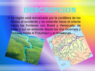  La región está enmarcada por la cordillera de los
Andes al occidente y se extiende hacia el oriente
hasta las fronteras con Brasil y Venezuela; de
norte a sur se extiende desde los ríos Guaviare y
Vichada hasta el Putumayo y el Amazonas.
 