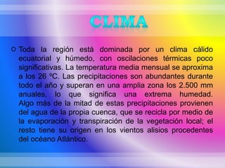  Toda la región está dominada por un clima cálido
ecuatorial y húmedo, con oscilaciones térmicas poco
significativas. La temperatura media mensual se aproxima
a los 26 ºC. Las precipitaciones son abundantes durante
todo el año y superan en una amplia zona los 2.500 mm
anuales, lo que significa una extrema humedad.
Algo más de la mitad de estas precipitaciones provienen
del agua de la propia cuenca, que se recicla por medio de
la evaporación y transpiración de la vegetación local; el
resto tiene su origen en los vientos alisios procedentes
del océano Atlántico.
 