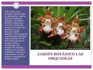 JARDÍN BOTÁNICO LAS
ORQUIDEAS
Este jardín es un
proyecto privado digno
de admiración, Aquí se
logró por iniciativa
privada y sin fondos
públicos, regenerar y
convertir un área de
terreno casi estéril de 7
hectáreas, en un
hermoso Jardín
Botánico, Este trabajo de
regeneración ambiental
tomo alrededor de 18
años hasta que que el
bosque volvió a
recuperarse y las
especies de insectos,
reptiles aves e incluso
mamíferos volvieron a
resguardarse en este
espacio recuperado de
bosque tropical.
 