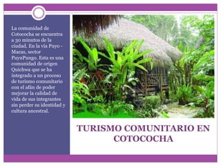 TURISMO COMUNITARIO EN
COTOCOCHA
La comunidad de
Cotococha se encuentra
a 30 minutos de la
ciudad. En la vía Puyo -
Macas, sector
PuyuPungo. Esta es una
comunidad de origen
Quichwa que se ha
integrado a un proceso
de turismo comunitario
con el afán de poder
mejorar la calidad de
vida de sus integrantes
sin perder su identidad y
cultura ancestral.
 