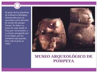 MUSEO ARQUEOLÓGICO DE
POMPEYA
Es parte de los atractivos
de la Reserva Biológica
Limoncocha pero se
encuentra cerca del área
de acción del parque
Yasuni. Se ubica a 4
horas de viaje desde el
Coca por vía terrestre, o
a 2 horas navegando por
el río Napo; por los
artefactos que guarda,
bien vale la pena su
visita.
 