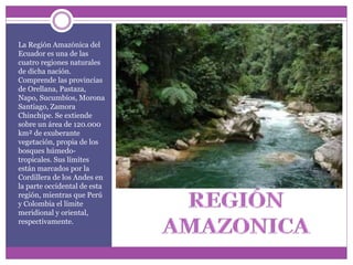La Región Amazónica del
Ecuador es una de las
cuatro regiones naturales
de dicha nación.
Comprende las provincias
de Orellana, Pastaza,
Napo, Sucumbíos, Morona
Santiago, Zamora
Chinchipe. Se extiende
sobre un área de 120.000
km² de exuberante
vegetación, propia de los
bosques húmedo-
tropicales. Sus límites
están marcados por la
Cordillera de los Andes en
la parte occidental de esta
región, mientras que Perú
y Colombia el límite
meridional y oriental,
respectivamente.
 