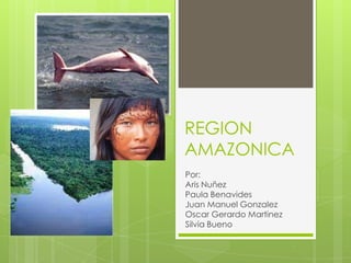 REGION
AMAZONICA
Por:
Aris Nuñez
Paula Benavides
Juan Manuel Gonzalez
Oscar Gerardo Martinez
Silvia Bueno
 