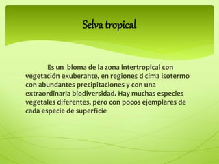 Es un bioma de la zona intertropical con
vegetación exuberante, en regiones d cima isotermo
con abundantes precipitaciones y con una
extraordinaria biodiversidad. Hay muchas especies
vegetales diferentes, pero con pocos ejemplares de
cada especie de superficie
Selva tropical
 
