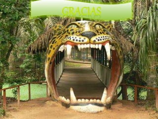 DEMOGRAFÍA DE LA SELVA