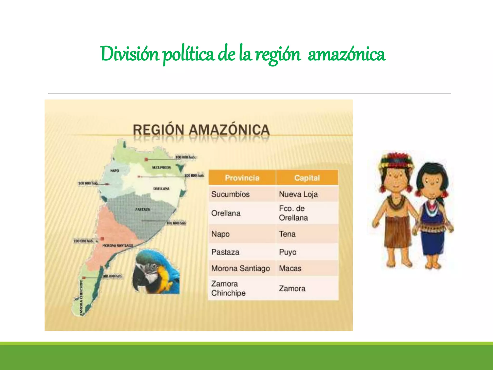 REGION AMAZONICA | PPT