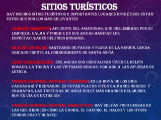 Sitios Turísticos
Hay muchos sitios turísticos e importantes lugares entre esos están
estos que son los mas relevantes
• LAGO DE TARAPOTO: Afluente del amazonas, que deslumbran por su
limpieza, calma y porque en sus aguas habitan los
espectaculares delfines rosados.
• ISLA DE LOS MICOS: Santuario de Fauna y flora de la región. Queda
ubicado frente al corregimiento de Santa Sofía
• LAGO YAHUARCACAS: sus aguas son cristalinas viven el delfín
rosado, la tonina y las victorias regias. Ubicado a las afueras de
Leticia.
• PARQUE NACIONAL NATURAL CAHUINARI: en la hoya de los ríos
Cahuanarí y Bernardo, en cuyas playas viven caimanes negros y
charapas, las tortugas de agua dulce más grandes del mundo,
hoy en vía de extinción
• PARQUE NACIONAL NATURAL AMACAYACU: hay selvas poco densas en
las que árboles como la caoba, el caucho, el balso y los otros
cedros rojo y blanco
 