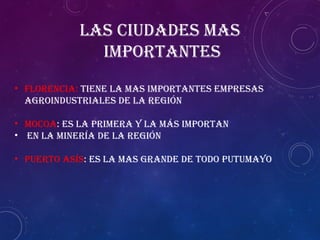Las ciudades mas
importantes
• Florencia: tiene la mas importantes empresas
agroindustriales de la región
• Mocoa: es la primera y la más importan
• en la minería de la región
• Puerto Asís: es la mas grande de todo putumayo
 