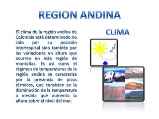 El clima de la región andina deEl clima de la región andina de
Colombia está determinado noColombia está determinado no
sólo por su posiciónsólo por su posición
intertropical sino también porintertropical sino también por
las variaciones en altura quelas variaciones en altura que
ocurren en esta región deocurren en esta región de
montañas. Es así como elmontañas. Es así como el
régimen de temperaturas de larégimen de temperaturas de la
región andina se caracterizaregión andina se caracteriza
por la presencia de pisospor la presencia de pisos
térmicos, que consisten en latérmicos, que consisten en la
disminución de la temperaturadisminución de la temperatura
a medida que aumenta laa medida que aumenta la
altura sobre el nivel del mar.altura sobre el nivel del mar.
 