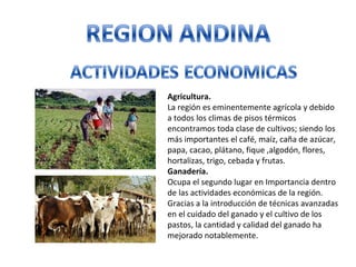 Agricultura.
La región es eminentemente agrícola y debido
a todos los climas de pisos térmicos
encontramos toda clase de cultivos; siendo los
más importantes el café, maíz, caña de azúcar,
papa, cacao, plátano, fique ,algodón, flores,
hortalizas, trigo, cebada y frutas.
Ganadería.
Ocupa el segundo lugar en Importancia dentro
de las actividades económicas de la región.
Gracias a la introducción de técnicas avanzadas
en el cuidado del ganado y el cultivo de los
pastos, la cantidad y calidad del ganado ha
mejorado notablemente.
 