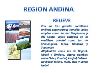 Region andina.jpg