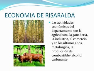 ECONOMIA DE RISARALDA
 Las actividades
económicas del
departamento son la
agricultura, la ganadería,
la industria, el comercio
y en los últimos años,
metalúrgica, la
producción de
combustible (alcohol
carburante
 
