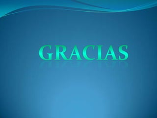 Region andina economia