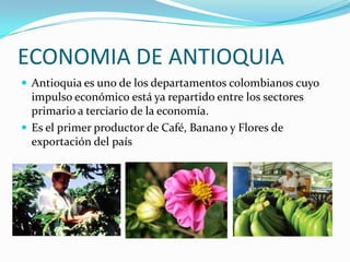ECONOMIA DE ANTIOQUIA
 Antioquia es uno de los departamentos colombianos cuyo
impulso económico está ya repartido entre los sectores
primario a terciario de la economía.
 Es el primer productor de Café, Banano y Flores de
exportación del país
 
