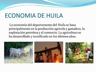ECONOMIA DE HUILA
La economía del departamento del Huila se basa
principalmente en la producción agrícola y ganadera, la
explotación petrolera y el comercio. La agricultura se
ha desarrollado y tecnificado en los últimos años.
 