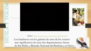 Los bambucos son los galantes de unos de los eventos
mas significativos de estos dos departamentos, fiestas
de San Pedro, y Reinado Nacional del Bambuco, en Neiva.
http://www.youtube.com/watch?v=qSq7USq9EtYVIDEO
 