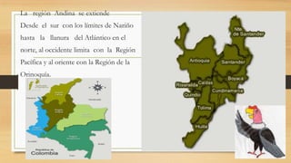 La región Andina se extiende
Desde el sur con los límites de Nariño
hasta la llanura del Atlántico en el
norte, al occidente limita con la Región
Pacífica y al oriente con la Región de la
Orinoquía.
 