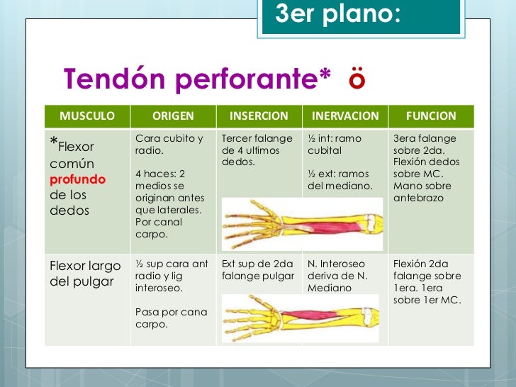 Imagen relacionada