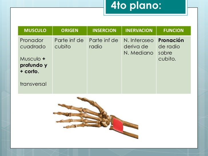 Imagen relacionada