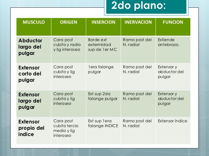 Imagen relacionada