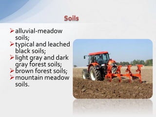 alluvial-meadow
soils;
typical and leached
black soils;
light gray and dark
gray forest soils;
brown forest soils;
mountain meadow
soils.
 