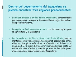 Dentro del departamento del Magdalena se
pueden encontrar tres regiones predominantes:

 La región situada a orillas del Río Magdalena, caracterizada
  por numerosas ciénagas y terrenos llanos bajos inundables
  en época de invierno.


 La región de las Llanuras centrales, con terrenos aptos para
  la agricultura y la Ganadería.


 La formada por la Sierra Nevada de Santa Marta, macizo
  montañoso que tiene diversos accidentes geográficos entre
  ellos los dos picos más altos de Colombia: el Bolívar y el
  Colón de 5.775 msnm. Este sector montañoso llega hasta las
  orillas del Mar Caribe y constituye una de las principales
  atracciones del departamento del Magdalena.
 