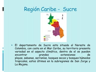 Región Caribe - Sucre




 El departamento de Sucre esta situado al Noreste de
  Colombia, con costa en el Mar Caribe, su territorio presenta
  variedad en el aspecto climático, dentro de el se pueden
  encontrar           grandes          extensiones          de
  playas, sabanas, serranías, bosques secos y bosques húmedos
  tropicales, estos últimos en la subregiones de San Jorge y
  La Mojana.
 