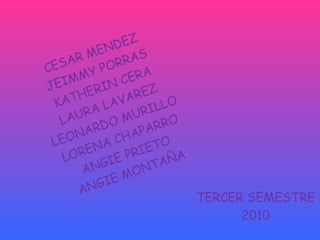 CESAR MENDEZ JEIMMY PORRAS KATHERIN CERA LAURA LAVAREZ LEONARDO MURILLO LORENA CHAPARRO ANGIE PRIETO ANGIE MONTAÑA TERCER SEMESTRE 2010 