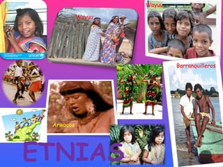 Wayuu Arwacos Barranquilleros   Wayuu ETNIAS   