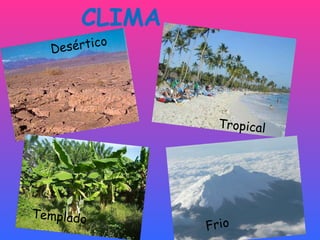 CLIMA Desértico Tropical Templado Frio 