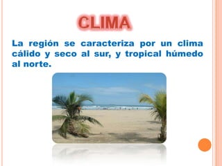 La región se caracteriza por un clima
cálido y seco al sur, y tropical húmedo
al norte.
 