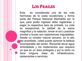LOS FRAILES
Esta     es considerada una de las más
hermosas de la costa ecuatoriana y forma
parte del Parque Nacional Machalilla por lo
que, para poder ingresar debe registrarse y
pagar la respectiva tasa de entrada. La vista
es excepcional, la calidad de la arena
magnífica y la natación, tomar el sol y practicar
snorkel o buceo son experiencias inigualables.
Desde un mirador natural cercano, en lo alto
del acantilado, usted puede apreciar la belleza
incomparable del sector. Recuerde llevar agua
embotellada y los implementos que requiera
ya que es un área protegida y por lo tanto no
tiene ninguna clase de infraestructura,
restaurantes o servicios.
 