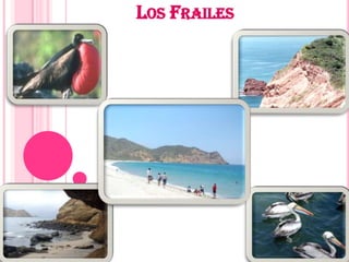 LOS FRAILES
 