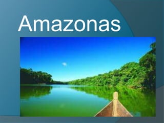Amazonas
 