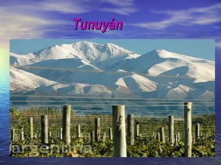 Tunuyán 